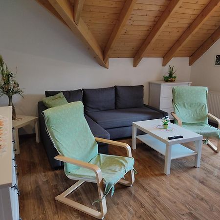 Gemuetliche Ferienwohnung Im Schoenen Erzgebirge - Wohnung Fruehling Айбеншток Экстерьер фото