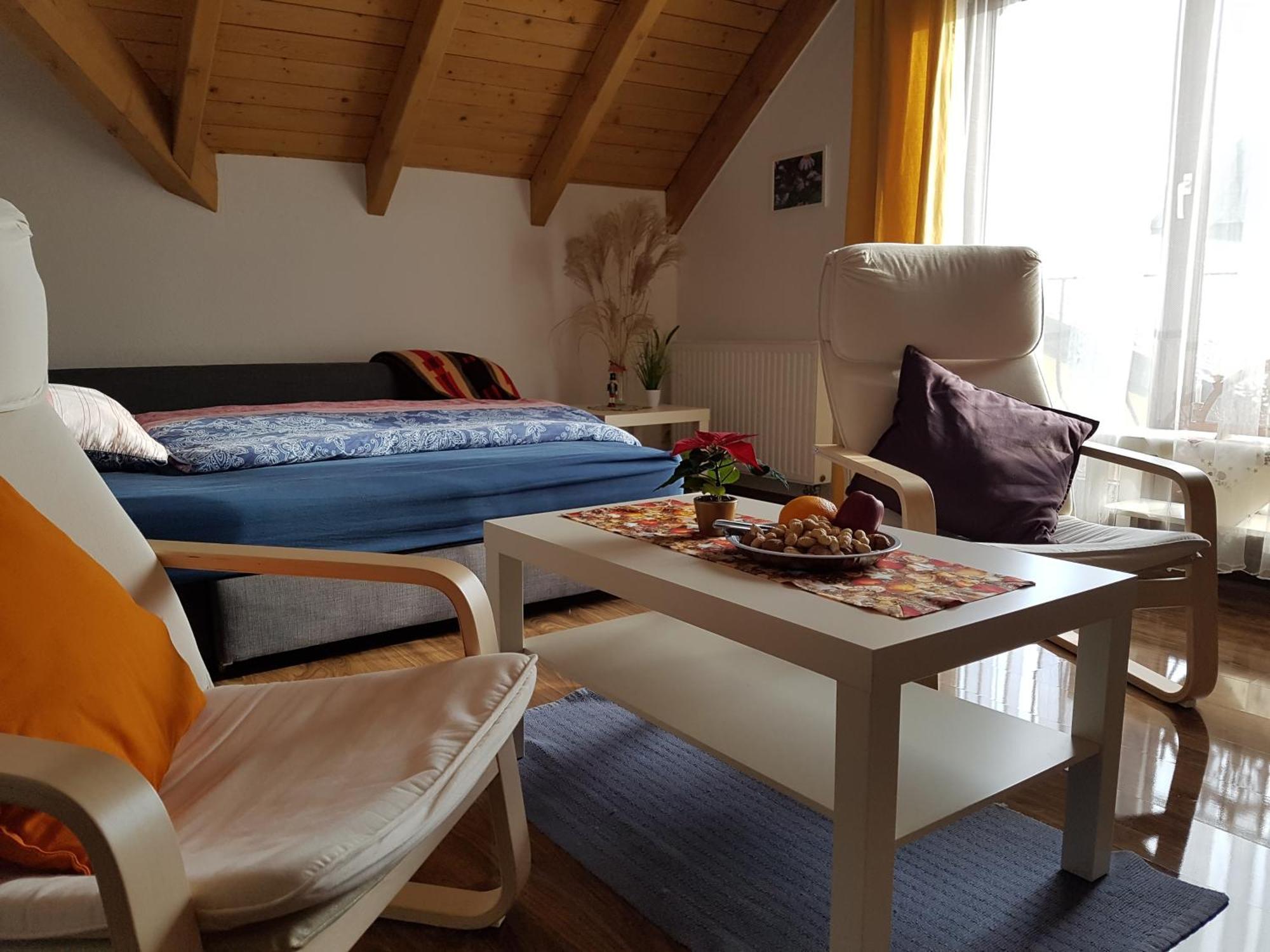 Gemuetliche Ferienwohnung Im Schoenen Erzgebirge - Wohnung Fruehling Айбеншток Экстерьер фото