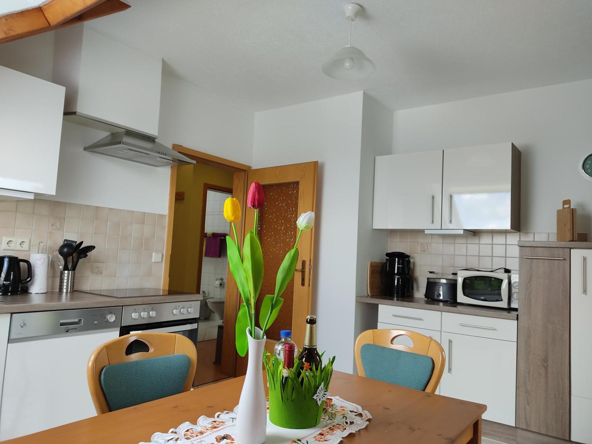 Gemuetliche Ferienwohnung Im Schoenen Erzgebirge - Wohnung Fruehling Айбеншток Экстерьер фото