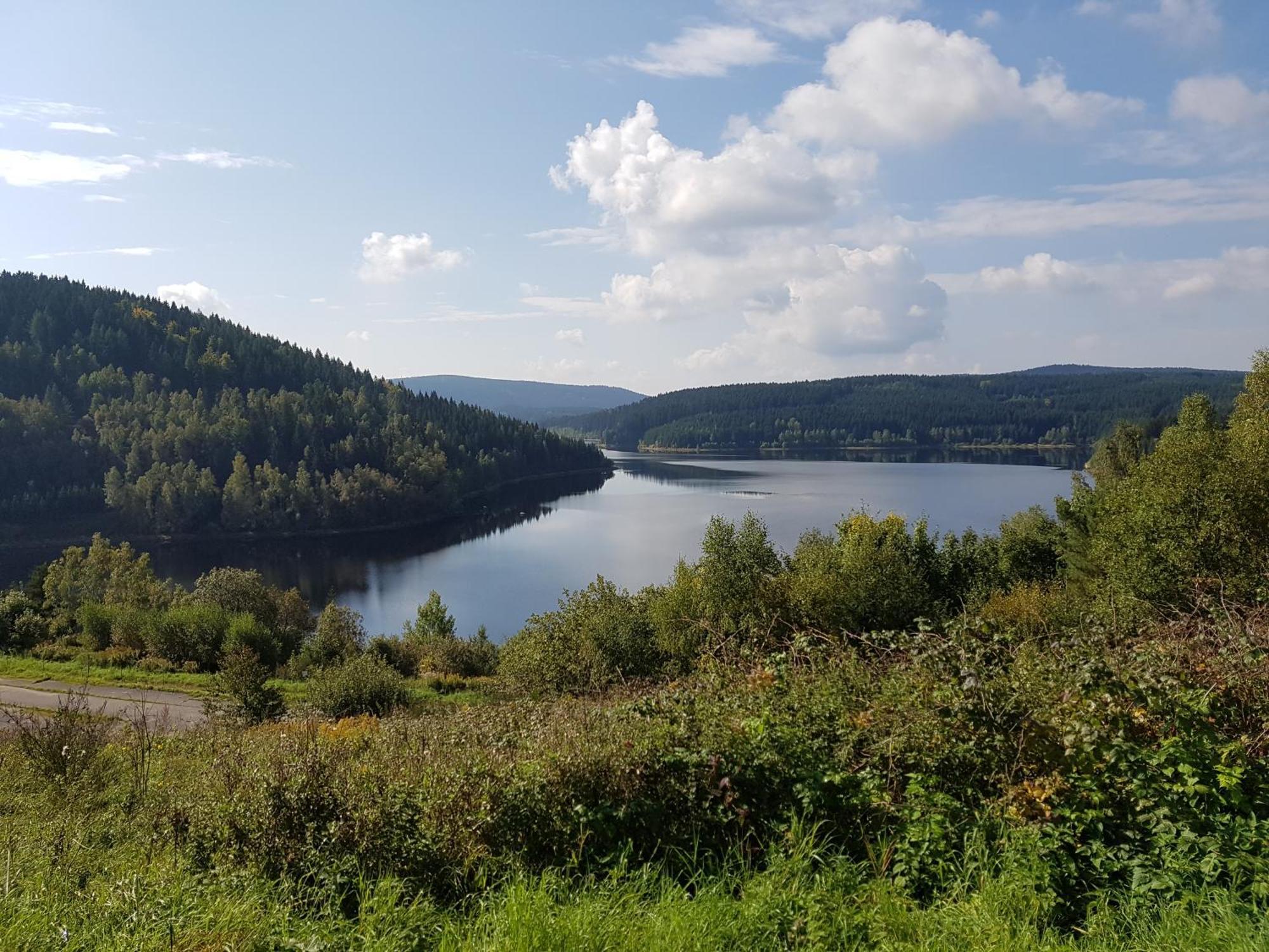 Gemuetliche Ferienwohnung Im Schoenen Erzgebirge - Wohnung Fruehling Айбеншток Экстерьер фото